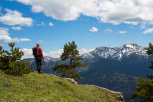 Hike through Villarrica National Park