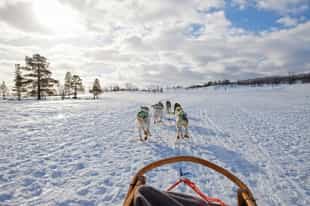 Go dog sledding on the snow in the Lake District