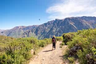 Hike the trails through the Colca Canyon