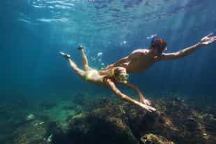 Discover the waters of Paracas while snorkeling