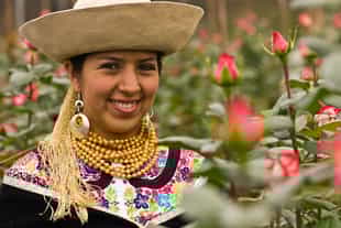 Take a tour of a rose plantation in Quito