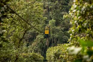 Ride a cable car across the forest canopy