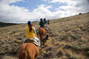 Explore Bariloche on horseback