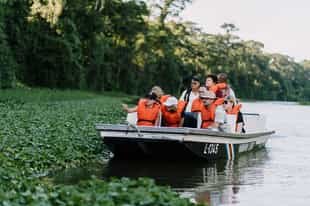 Search for wildlife on a boat trip in Tortuguero