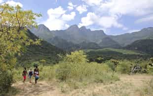 Spot wildlife on a Matthew's Range bush walk