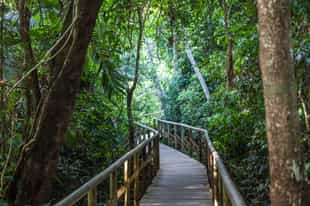 Hike trails of the Manuel Antonio National Park