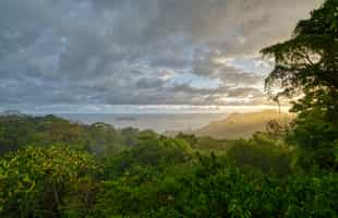 Explore the Manuel Antonio National Park on a walk