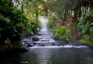 Take a dip in Arenal Volcano's hot springs