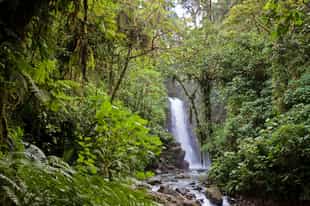 Take a swim in one of San Jose’s waterfalls