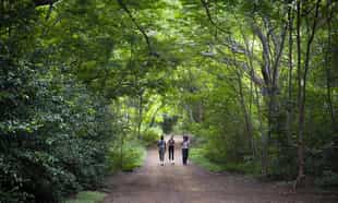 Explore Guanacaste area on a guided nature hike