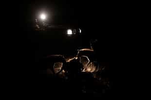 See animals on a night game drive in North Luangwa