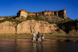Go on a guided walking safari in Gonarezhou