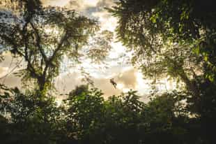 Zipline through the forests of Arenal Volcano