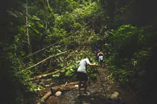 Hike through the rainforest to the waterfalls