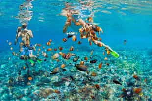Snorkel through Khao Lak's crystal clear waters