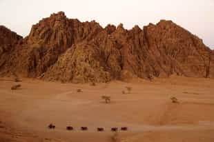 Explore the Sharm El Sheikh desert by quad bike