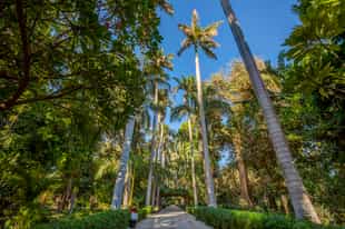 Visit the botanical gardens on Kitchener's Island