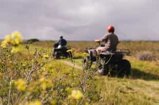 Go on a quad bike adventure