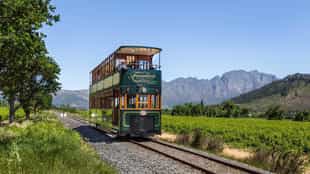 Explore Franschhoek's vineyards by tram