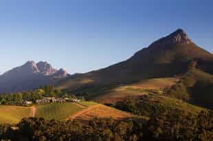 A wine tasting tour of Franschhoek's wine farms