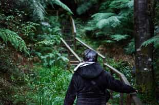 Hike through the Alerce Andino National Park