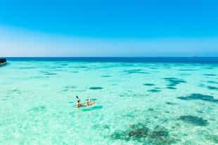 See the marine life from a clear bottomed kayak