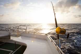 Go on a deep sea fishing trip in the Maldives