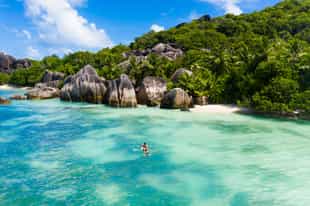 See the Seychelles' marine life from a kayak