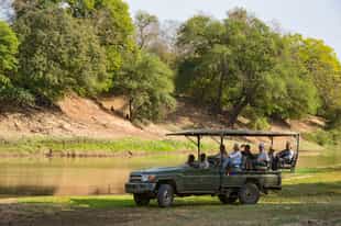 Track the Zakouma's wildlife on a game drive