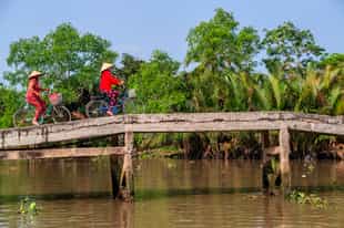 See the sites of the Mekong Delta by bicycle