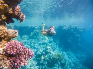 Snorkel around the An Thoi Islands in Phu Quoc