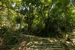 Trek in the jungle of Con Dao National Park