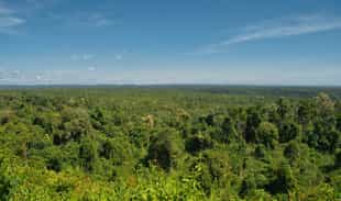 Go on a trek through the jungles of Koh Kong