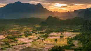 Explore the vast rice fields of Vang Vieng