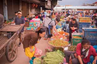 Visit the Wat Si Muang temple in Vientiane 
