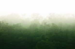 Explore Andasibe Mantadia National Park