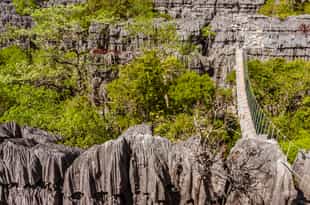 Hike through the sea of limestone tsingy tips