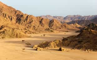 Drive on a 4x4 through the Sharm El Sheikh desert