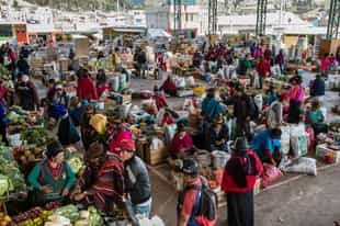 Eat like a local at Guayaquil's Central Market 