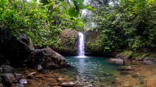 Hike to a nearby waterfall in Cloud Forest