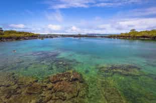 Swim in natural pools at Concha de Perla, Isabela