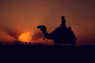 Ride a camel into the sunset in Merzouga