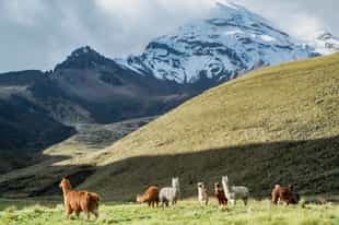 Cycle through the rough landscapes of the Andes