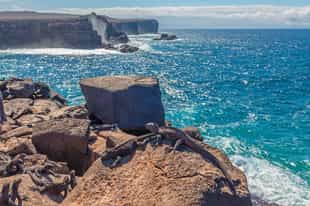 Hike to the blowhole and vistas of Suarez Point