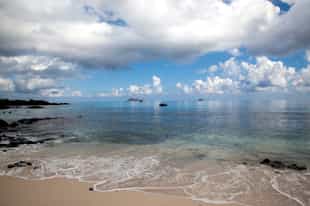 Dip at Bachas Beach and find turtles nesting there