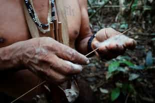 Learn to use a traditional Huaorani blowgun