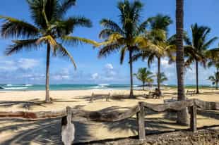 Head to the beaches of Puerto Villamil