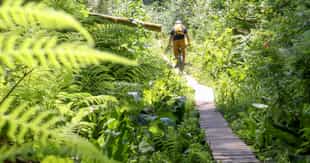 Get moving and cycle through the Iguazu Rainforest