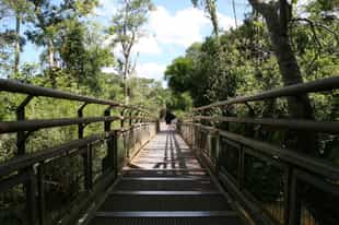 Explore Parque Nacional Iguazú