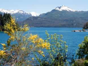 Explore the wonders of Isla Victoria, Bariloche